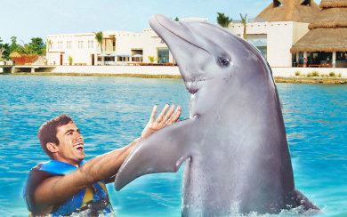 Dolphin Royal Swim VIP 