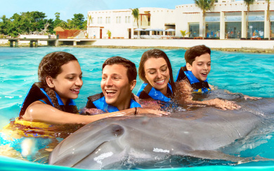 Dolphin Swim Adventure 