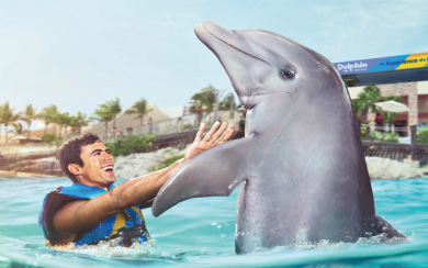 Dolphin Connection Dolphin Connection