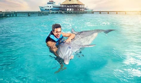 Dolphin Encounter Dolphin Encounter