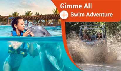 Dolphin Love + Jungle Adventure Riviera Maya 