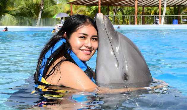 Dolphin Encounter