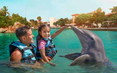 Dolphin Swim Adventure 