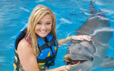 Dolphin Royal Swim Dolphin Royal Swim