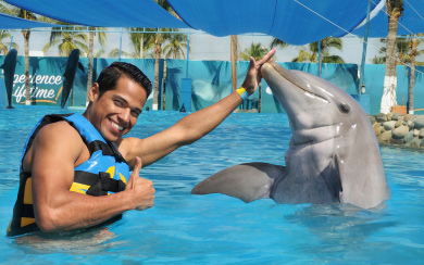 Dolphin Swim Adventure Dolphin Swim Adventure