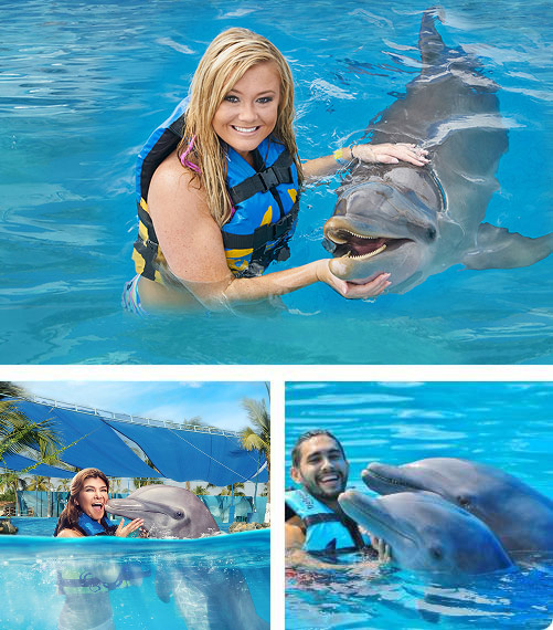 Dolphin Swim Adventure