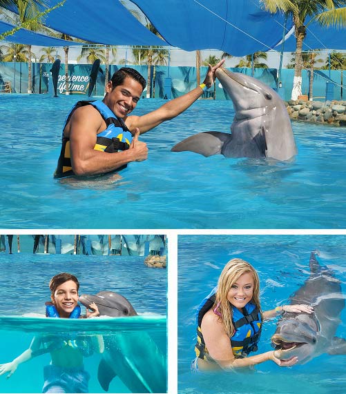 Dolphin Swim Adventure
