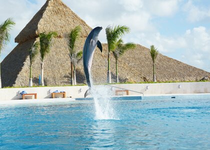 Dolphin Discovery Punta Cana Location