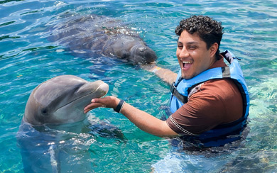 Encuentro con Delfines + Manatíes 