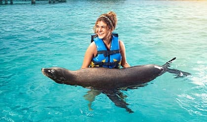 Sea Lion Discovery Sea Lion Discovery