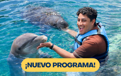 Encuentro con Delfines + Manatíes 