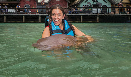 Shark Encounter Shark Encounter