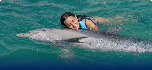 Woman swimming with Dolphins in Cancun in the Ocean