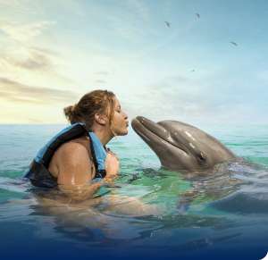 Mujer dando beso a delfin en Cayman