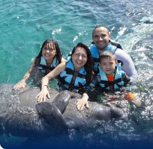 Family swim with Manati in Cozumel Cancun