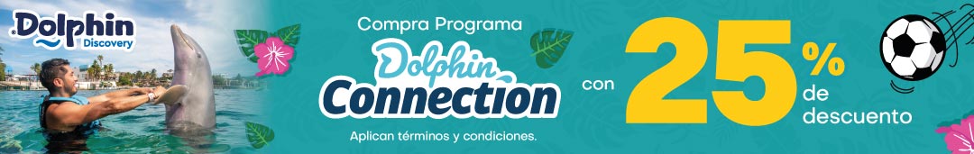 Promoción 2