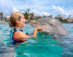 Swim with dolphins in Garrafon Park, Cancun, Isla Mujeres
