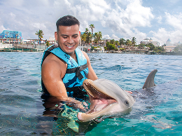 Swim with dolphins in Garrafon Park, Cancun, Isla Mujeres