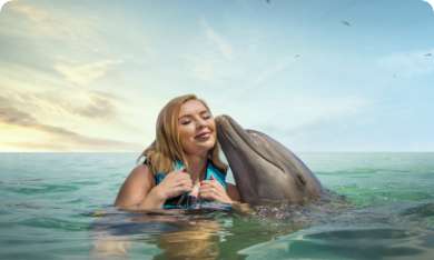 Dolphin Encounter program