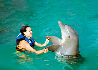 dancing with a dolphin in punta cana