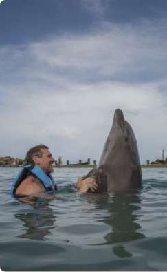 Woman live a swim with Dolphin in Jamaica in Yaaman Adventure Park